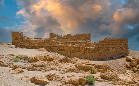 archeology_course