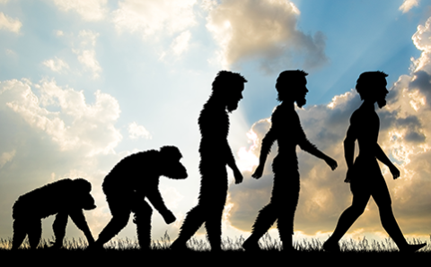evolutioncourse